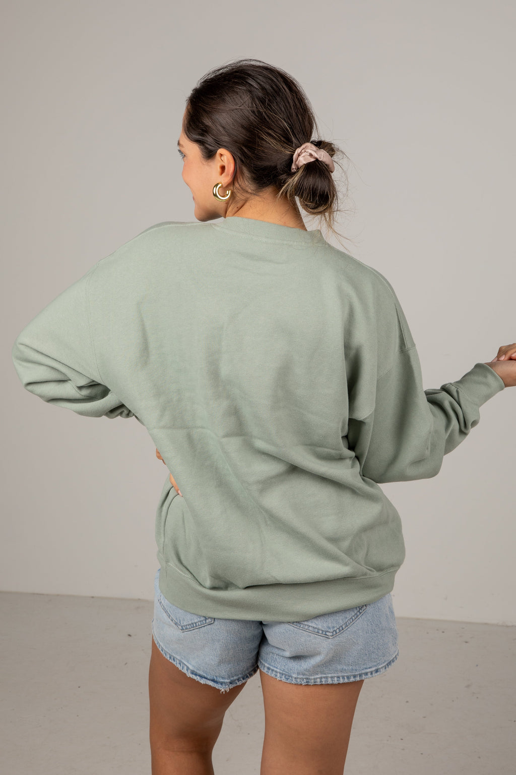 Greenville South Carolina Graphic Sage Pullover