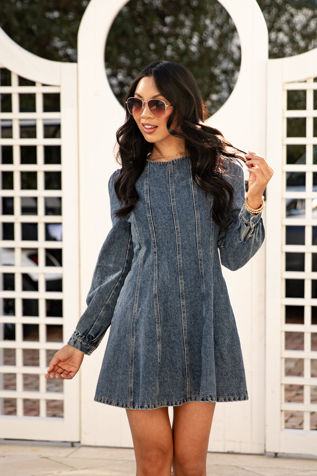Blue Jean Beauty Denim Mini Dress